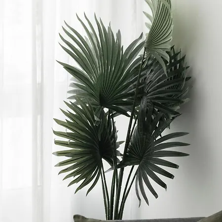 Apartamento Edificio Botanica Centro By Renthas *